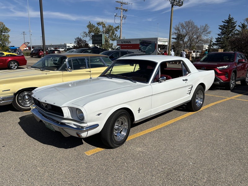 2025 Fall Cruise